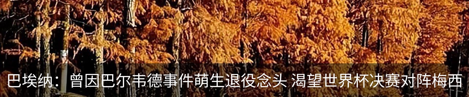 行业资讯
