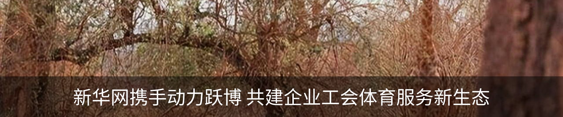 行业资讯